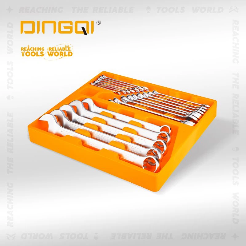 21vnt rankinių veržliarakčių rinkinys